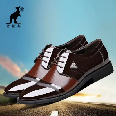 MEN'S POINTED FASHION LEATHER SHOES